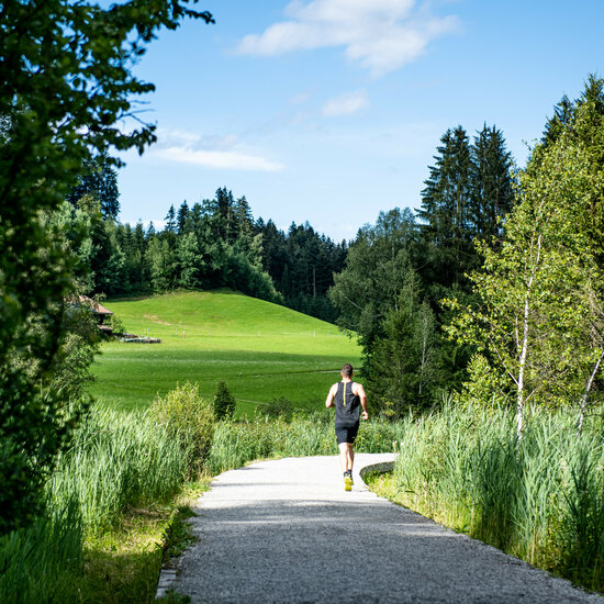 Ein Läufer joggt auf einem schmalen Weg, umgeben von üppigem Grün und hohen Bäumen unter einem klaren blauen Himmel.