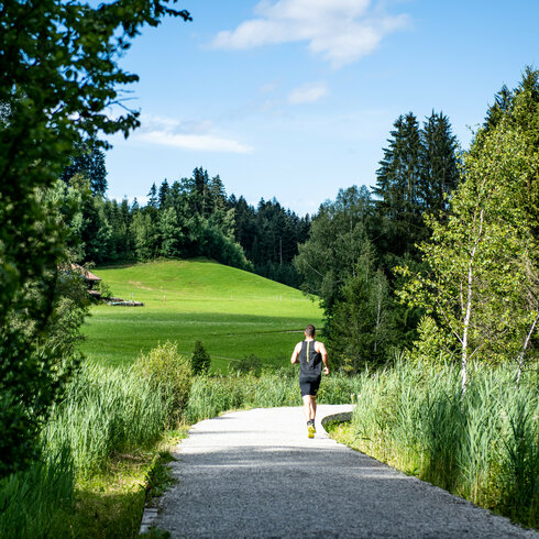 Ein Läufer joggt auf einem schmalen Weg, umgeben von üppigem Grün und hohen Bäumen unter einem klaren blauen Himmel.
