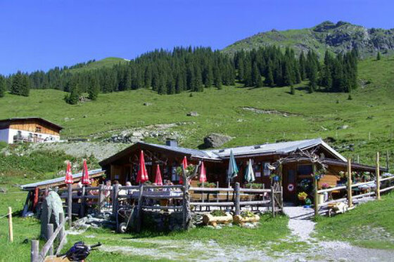 Berghütte aus Holz mit bewirtschafteter Terrasse vor grünem Almhang und Wald.