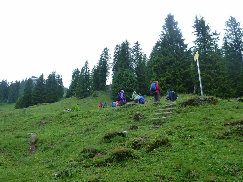 Wanderer am Rechegg Wandergruppe auf einer grünen Bergwiese vor einem Nadelwald mit Wegweiser.