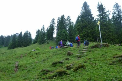 Wandergruppe auf einer grünen Bergwiese vor einem Nadelwald mit Wegweiser.