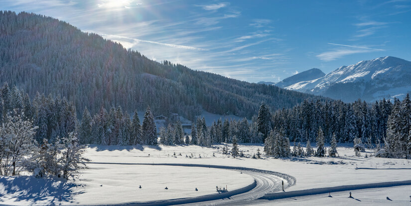 The cross-country ski trail in Kitzbühel offers views of a snow-covered landscape with mountains and forests beneath a clear blue sky.