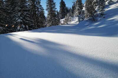 Winterlandschaft bei St. Bernhard Kapelle Verschneite Skipiste oder Wanderweg im Nadelwald unter blauem Himmel.