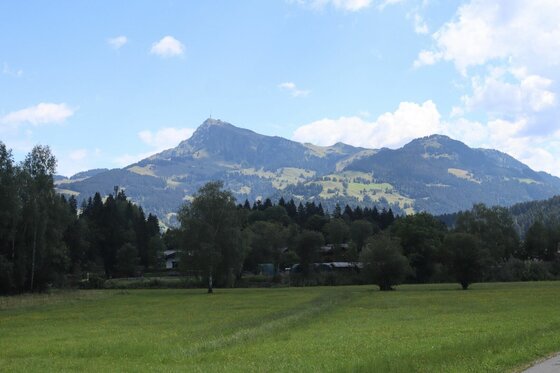 Blick auf das Brixentaler Bergpanorama Blick über eine grüne Wiese und Bäume auf ein bewaldetes Bergmassiv unter blauem Himmel.
