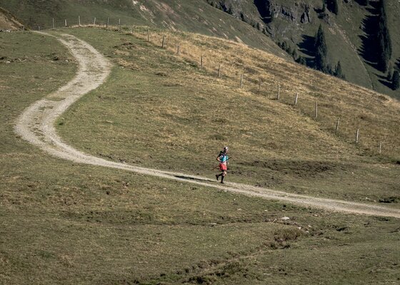 Trailrunner am Kitzbüheler Horn Ein Trailrunner läuft auf einem geschwungenen Schotterweg über eine alpine Graslandschaft.