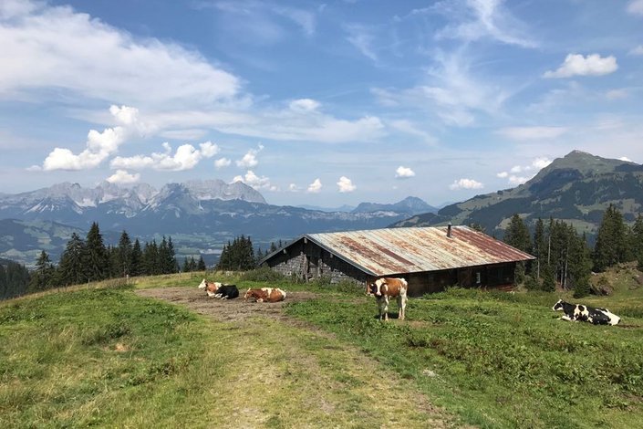 Alm im Sommer