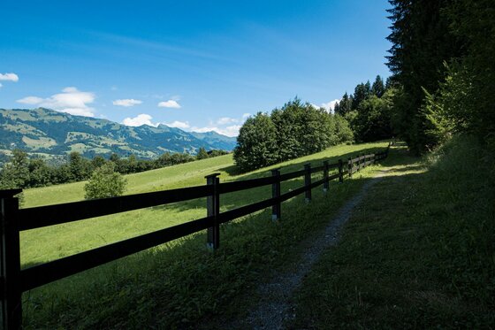 Wanderweg am Ganslern Trail Ein schmaler Wanderweg verläuft neben einem dunklen Holzzaun an einer grünen Wiese mit Blick auf Berge.