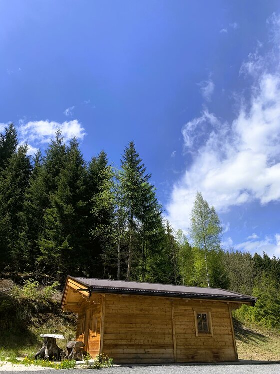 Eine kleine Holzhütte umgeben von Bäumen und grünem Gras. Der Himmel ist blau mit einigen weißen Wolken.
