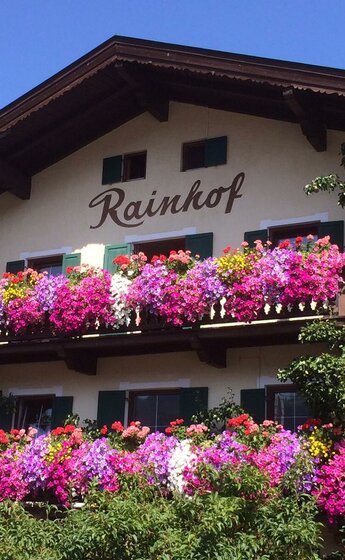 Unsere Blumenpracht