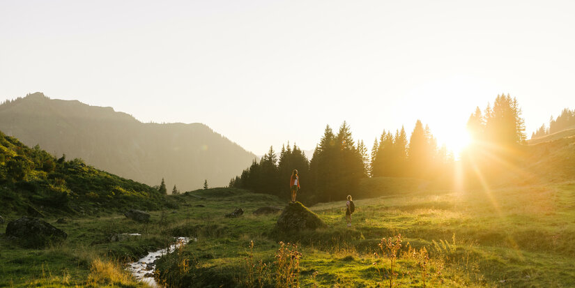 Mountain meadow at sunrise