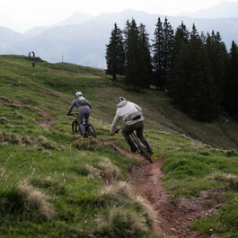 Mountainbiker fahren mit hoher Geschwindigkeit auf einem Singletrail bei den 360 Flow Trails in Kitzbühel, umgeben von üppigem Gras und Bäumen.