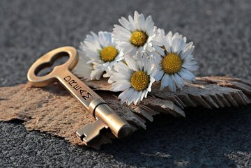 Messingschlüssel und Gänseblümchen