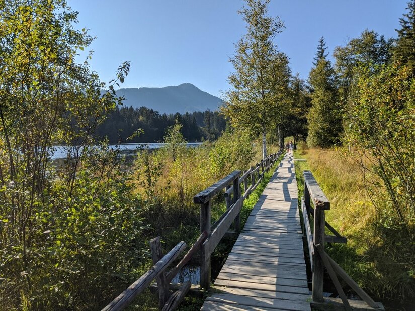 Holzsteg am Seeufer Ein schmaler Holzsteg mit Geländer führt durch eine bewachsene Uferlandschaft an einem See.