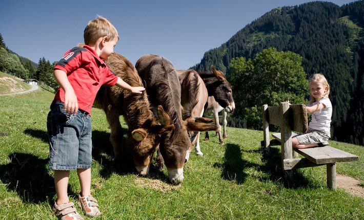 Wandern für Familien