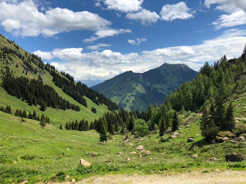 Blick auf Klausenberg und Eggenalm Grünes Alpental mit Nadelbäumen und Blick auf bewaldete Berggipfel unter blauem Wolkenhimmel.