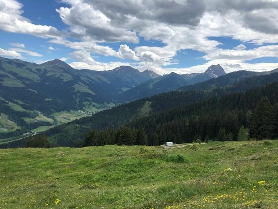Almwiese mit Bergpanorama Blick über eine grüne Almwiese auf bewaldete Berghänge und ferne Gipfel unter bewölktem Himmel.