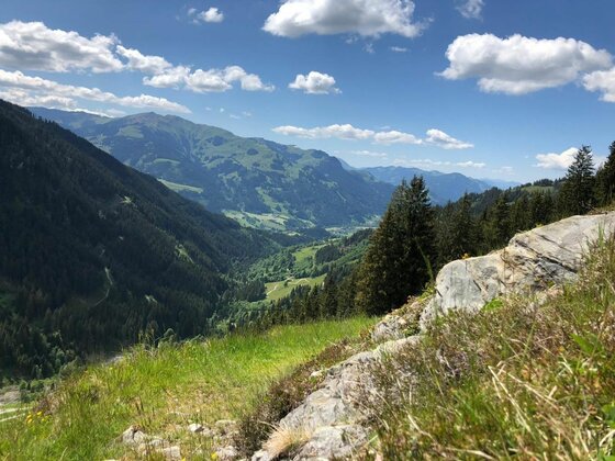 Blick ins Wildalmtal Blick von einem Grashang in ein bewaldetes Alpental unter blauem Himmel mit Wolken.