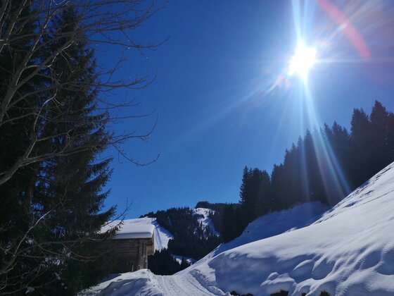 Winterlandschaft bei der Bruggeralm Verschneiter Hang mit Holzhütte, Nadelwald und strahlender Sonne unter blauem Himmel.
