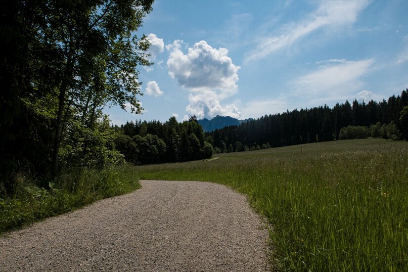 Wanderweg bei Achrain Ein geschotterter Wanderweg führt durch grüne Wiesen und Wälder unter blauem Himmel mit Wolken.