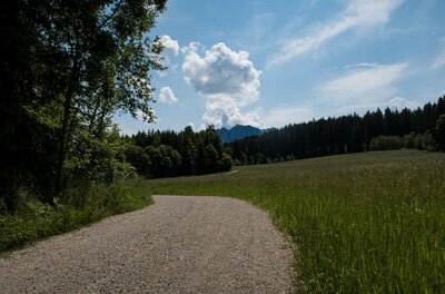 Wanderweg bei Achrain Ein geschotterter Wanderweg führt durch grüne Wiesen und Wälder unter blauem Himmel mit Wolken.