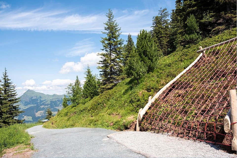 Klettergerüst am Wegrand