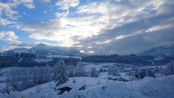 Winterlandschaft am Brandhof Verschneite alpine Landschaft mit Holzhütten, Nadelwald und Bergen unter bewölktem Himmel.