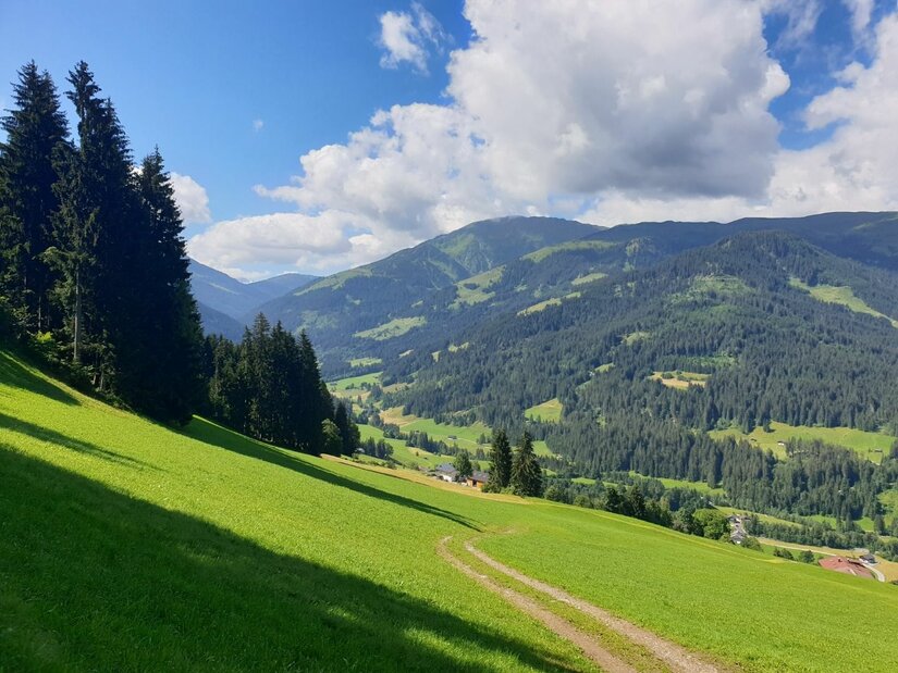 Almlandschaft bei der Kandleralm Blick über eine grüne Almwiese mit Fahrweg auf bewaldete Berge unter blauem Himmel mit Wolken.