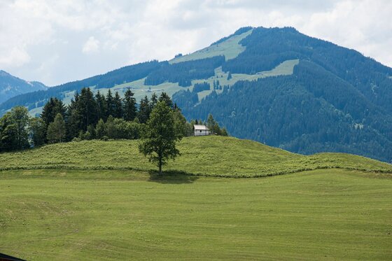 Landschaft bei Kochau-Hechenmoos Grüne Wiese mit einer kleinen Hütte vor bewaldeten Bergen unter bewölktem Himmel.