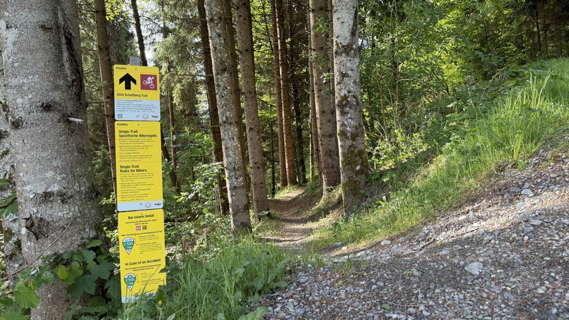 Mocking Downhill 3x.jpg
