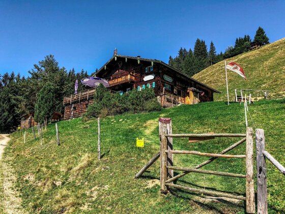 Jochberger Wildalm am Schützkogel Rustikale Holzhütte am Grashang mit Weidezaun im Vordergrund unter blauem Himmel.
