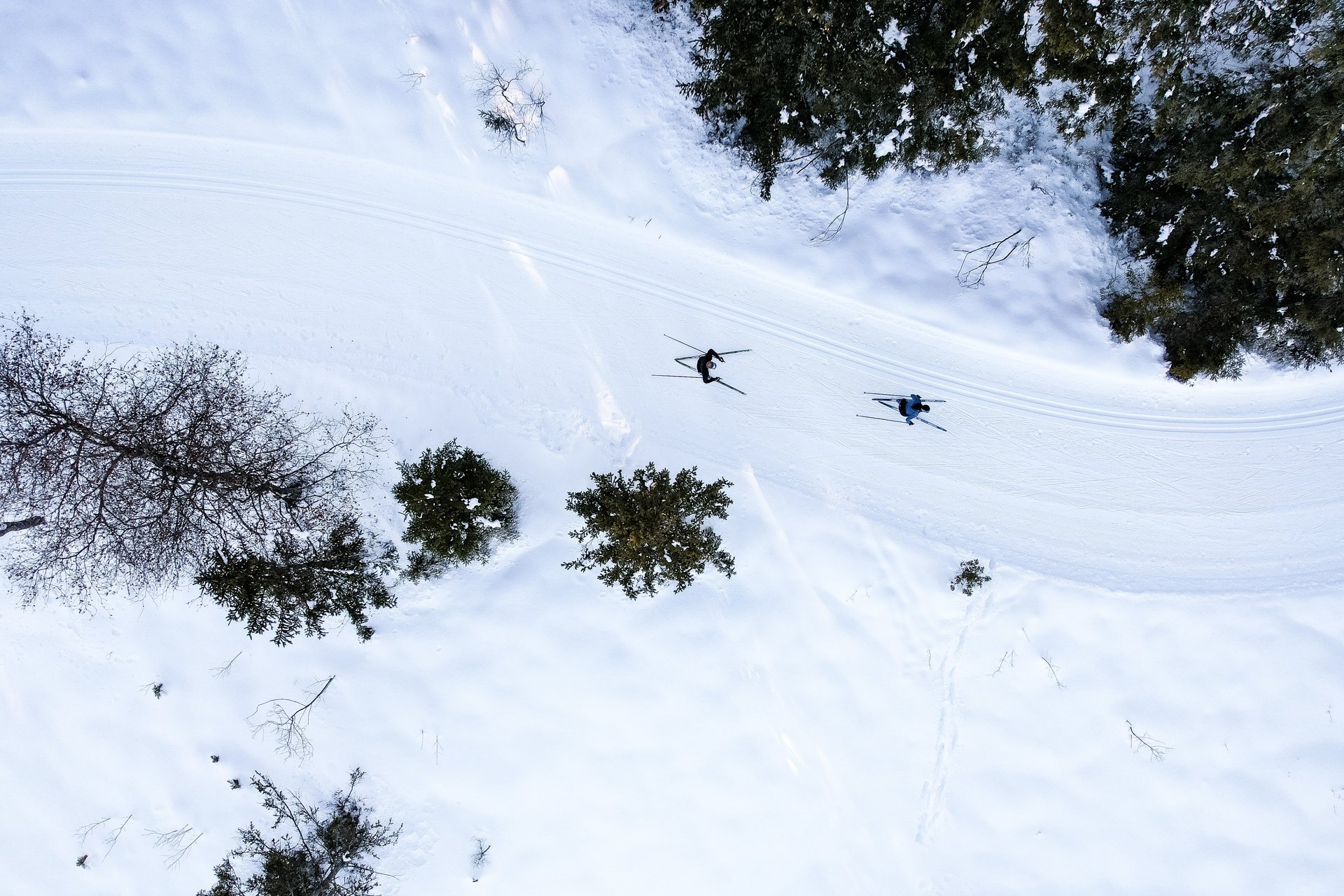 [Translate to EN:] Langlaufen in Kitzbühel