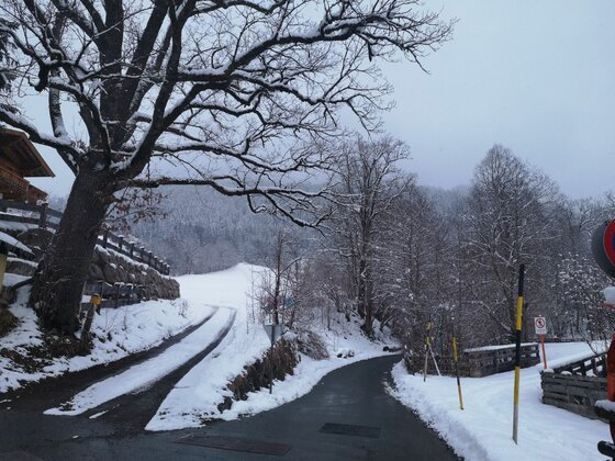 Verschneite Straßengabelung am Hagstein mit kahlen Bäumen und schneebedeckten Hängen unter grauem Himmel.