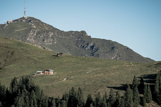 Kitzbüheler Horn mit Almwirtschaft Blick auf das Kitzbüheler Horn mit Sendemast, Almhütten und grünen Hängen unter blauem Himmel.