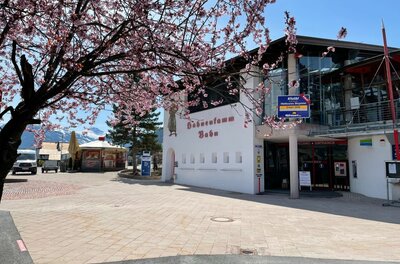 Hahnenkammbahn Talstation in Kitzbühel mit blühendem Kirschbaum im Vordergrund.