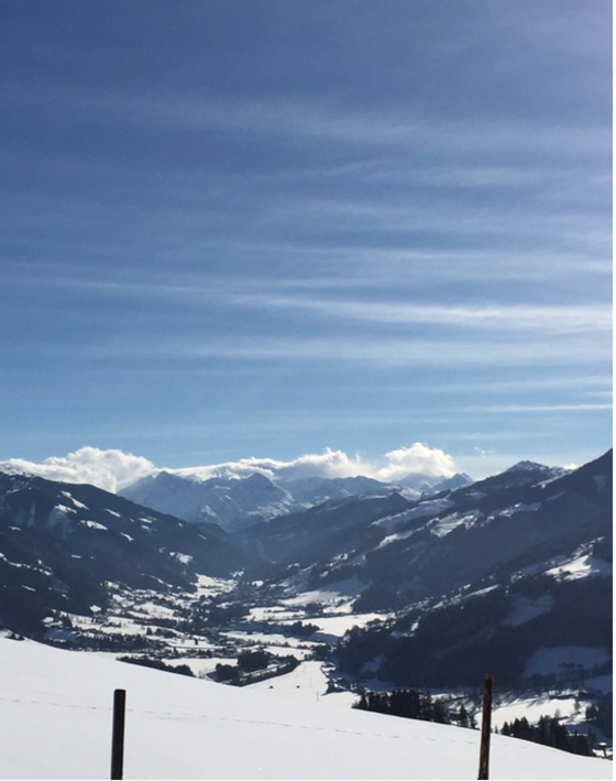 Ausblick vom Chalet Marie-Luise Blick über ein verschneites Tal auf bewaldete Berge und schneebedeckte Gipfel unter blauem Himmel.