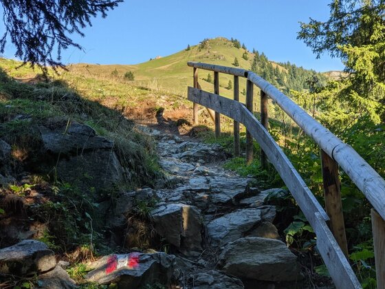Steiniger Wanderweg mit Holzgeländer führt bergauf in Richtung eines grünen Berggipfels unter blauem Himmel.