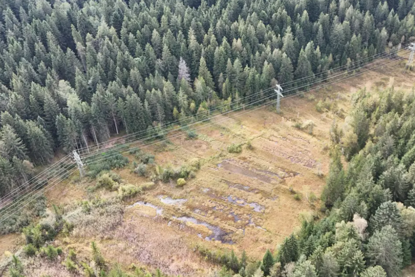 Luftaufnahme einer Waldschneise mit Strommasten und einer Moorlandschaft mit Wasserstellen.
