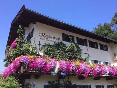 Rainhof, Pension
