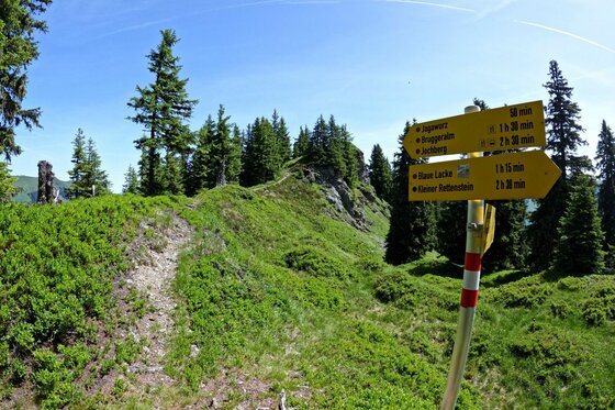 Gelber Wegweiser an einem schmalen Bergpfad mit Nadelbäumen und grünem Bewuchs unter blauem Himmel.