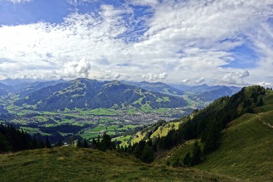 Aussicht vom Hornköpfl Blick von einem grasbewachsenen Berghang auf ein bewaldetes Tal mit einer Ortschaft unter bewölktem Himmel.