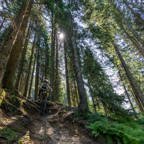 Biker fahren einen Biketrail in Kitzbühel hinunter