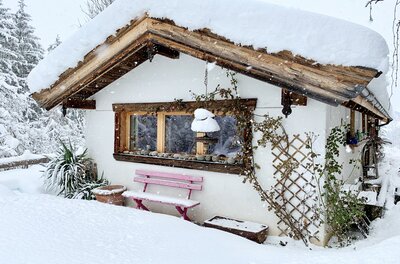 Zuhaus Schernfeichten im Winter Verschneite Hütte mit rosa Holzbank und schneebedecktem Dach bei leichtem Schneefall.