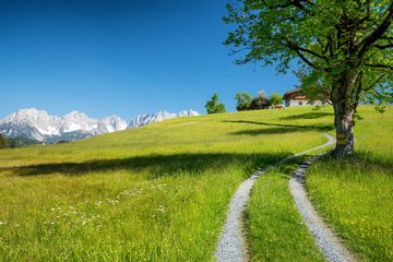 Bergwiese mit Weg