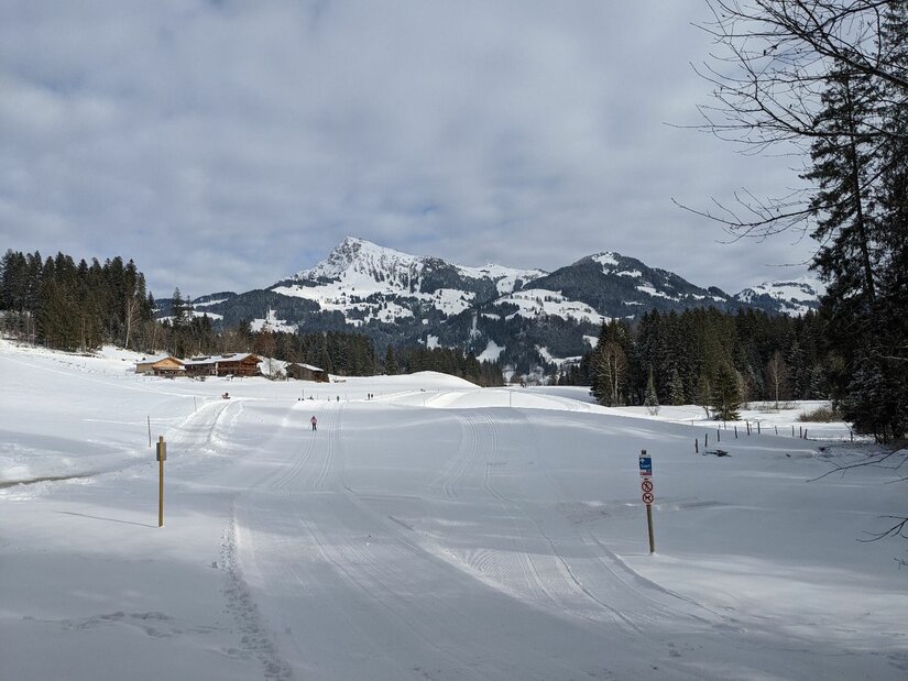 Verschneite Langlaufloipe in einer offenen Winterlandschaft mit Blick auf schneebedeckte Berge.