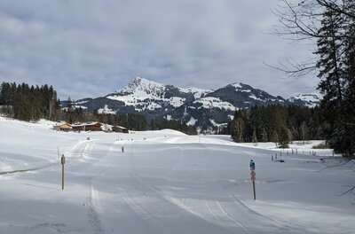 Markus Gandler Loipe Verschneite Langlaufloipe in einer offenen Winterlandschaft mit Blick auf schneebedeckte Berge.