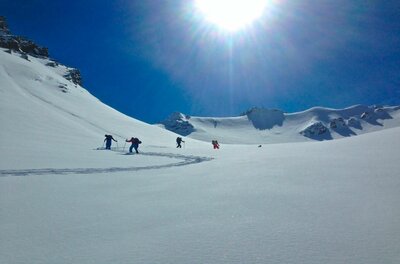Skiguides Kitzbühel Jochberg Vier Skitourengeher steigen bei Sonnenschein einen verschneiten Hang hinauf.