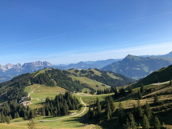 Alpenlandschaft Hahnenkamm-Jochberg Blick über bewaldete Berghänge und Almwiesen mit Wanderwegen unter blauem Himmel.
