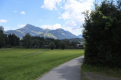 Brixentalradweg mit Bergblick Asphaltierter Radweg führt durch eine grüne Wiese mit Blick auf bewaldete Berge unter bewölktem Himmel.