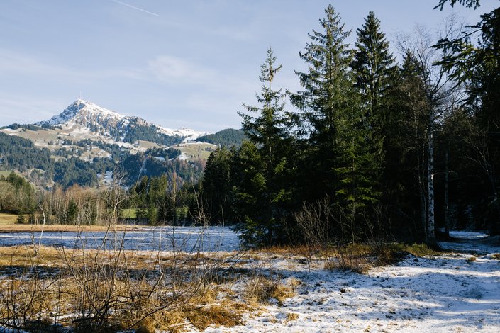 Schwarzsee
