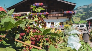Blick auf Haus